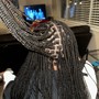 Two Strand Twist/ Individual Plaits