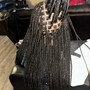 Two Strand Twist/ Individual Plaits