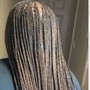 6 Straight Back Stitch Braids