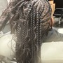 Tribal Braids/Fulani Braids