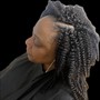 Loc Re-twist (over 100 locs)