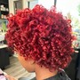 Shampoo (Rod set, roller set, twist out)