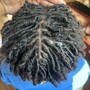 Starter Locs