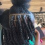 Havana Twists