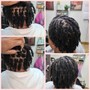 Men's crown plaits