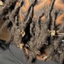 Loc Re-twist