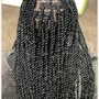 Senegalese/ Island Twist