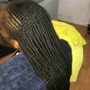 Knotless Box Braids