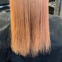 Root Touch Up (Hair Color)