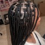 kids Knotless braids