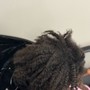 Root Touch Up