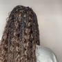 Kid's Braids