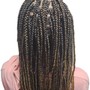 Box Braids (no hair added)