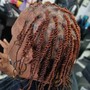 Two-strand Twist (natural hair)