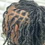 Tree Braids