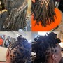 Root Touch Up