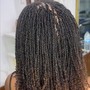 S-Medium Knotless Braids