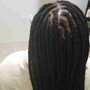 Small Box Braids