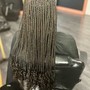 Root Touch Up