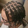 Two Strand Loc Extensions