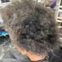 Root Touch Up