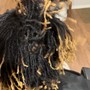 Detox on Locs or Loc Wash Only