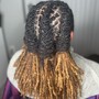 Loc Retwist