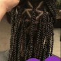 Box Braids