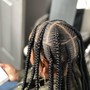 Starter Dreadlocks