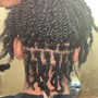 Braids (Shoulder Length)