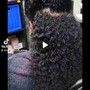 Root Touch Up