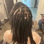 Starter Locs