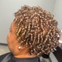 Natural Style (Rod Set| Twist Out| Flat Twist)