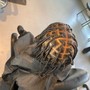 Men’s braids