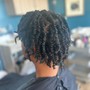 Medium Two Strand Twists (Natural hair)