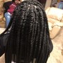 Individual Braids