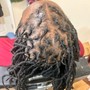 Wick Touch Up Roots Only