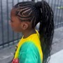 Braided ponytail (medium)