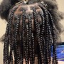 Adult Re-twist