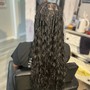 Natural Twist/Braids (2-12)