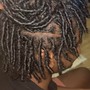 Starter Locs