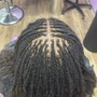 Individual Braids (natural)