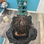 Starter locs