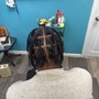 Simple Braids & twists (not locs)