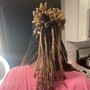 Medium Starter Locs