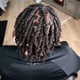 Starter Locs