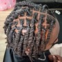 Starter Locs