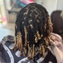 Loc Maintenance and Style (up to shoulder length)