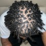 Starter Locs