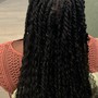 Medium Box braids